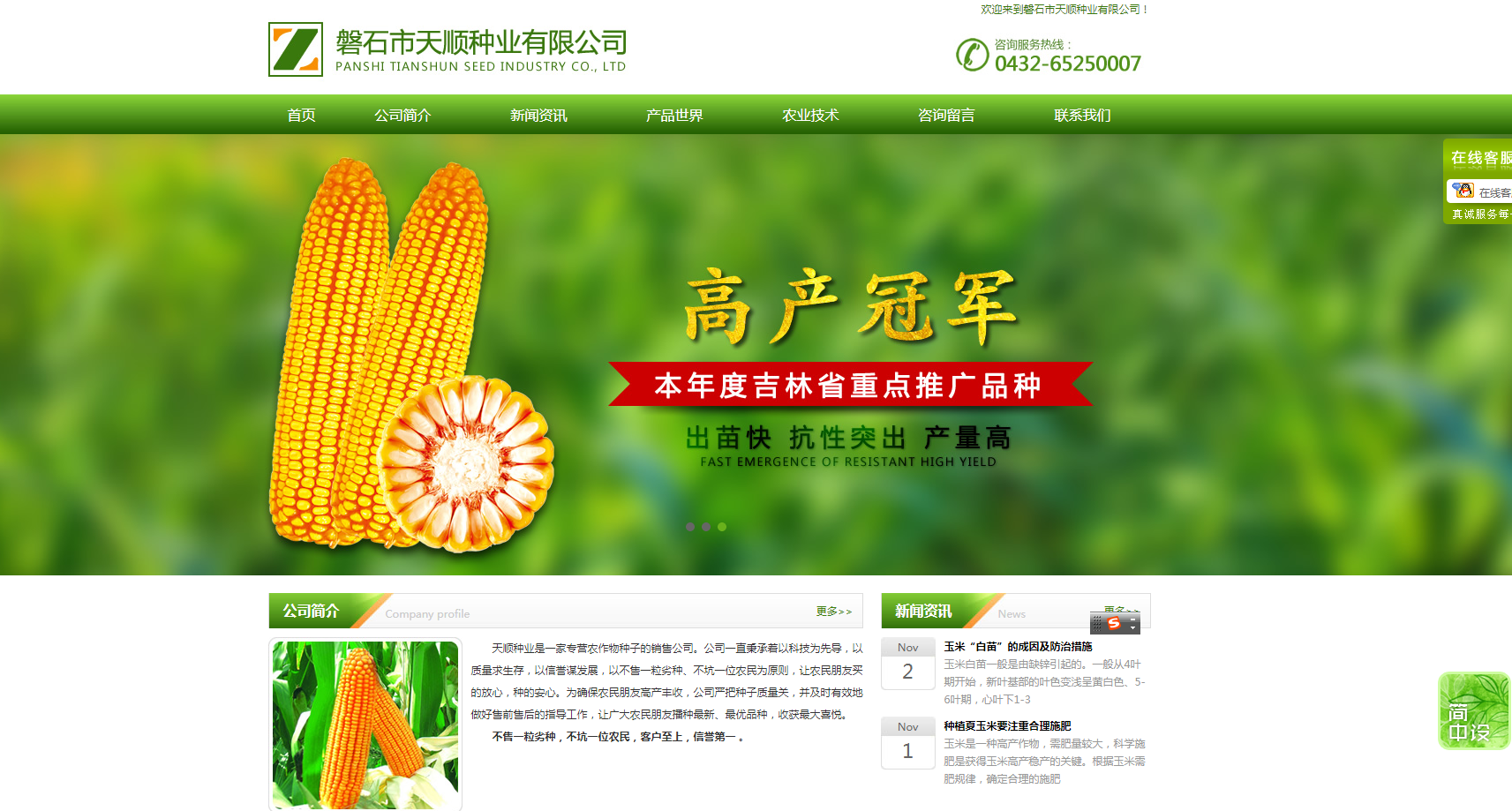 在網站建設過程中如何做好策劃的技巧有哪些