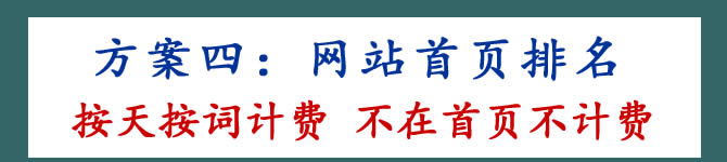 網站排名